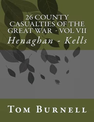 Cover of 26 County Casualties of the Great War Volume VII