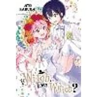 Cover of If Witch, Then Which?, Vol. 3