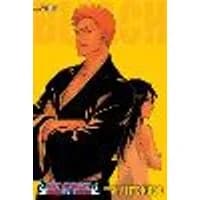 Cover of Bleach (2-in-1 Edition), Vol. 25 Volume 25