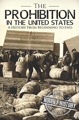Cover of Prohibition in the United States