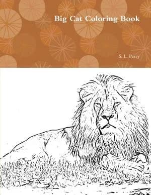 Cover of Big Cat Coloring Book