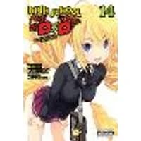 Cover of High School DxD, Vol. 14 (light novel)