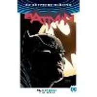 Cover of Batman Vol. 1: I Am Gotham (2024 Edition)