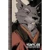 Cover of Teenage Mutant Ninja Turtles: The IDW Collection Volume 2