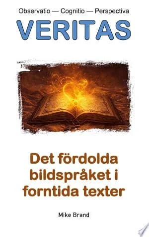 Cover of Det frdolda bildsprket i forntida texter