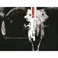 Cover of The Black Monday Murders Volume 1