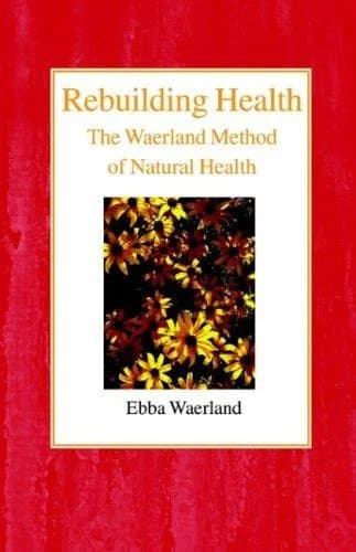 Cover of Rebuilding Health