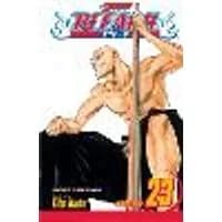 Cover of Bleach, Vol. 23
