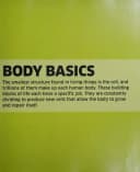 Knowledge Encyclopedia Human Body Children's Hardcover Book