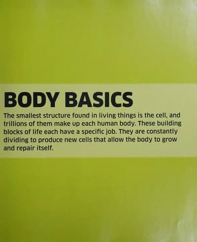 Cover of Knowledge Encyclopedia Human Body Children's Hardcover Book