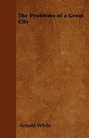 Cover of The Problems of a Great City