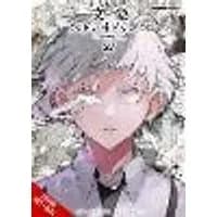 Cover of Bungo Stray Dogs, Vol. 27