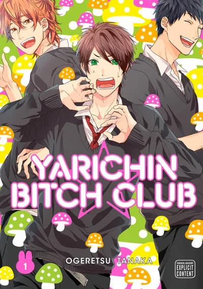 Cover of Yarichin Bitch Club Volume 6