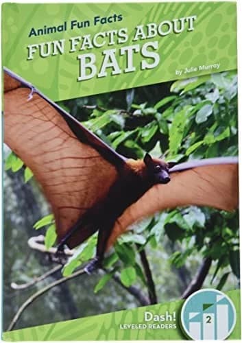 Cover of Fun Facts about Bats