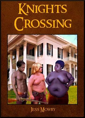 Cover of Knights Crossing