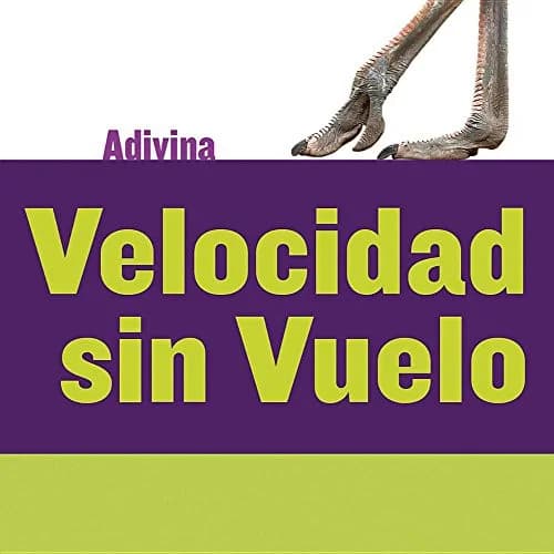 Cover of Velocidad Sin Vuelo (Fast and Flightless)