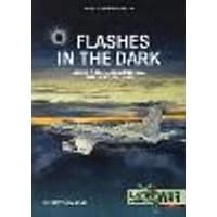 Cover of Flashes in the Dark Volume 2