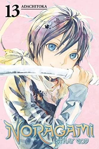 Cover of Noragami: Stray God 13