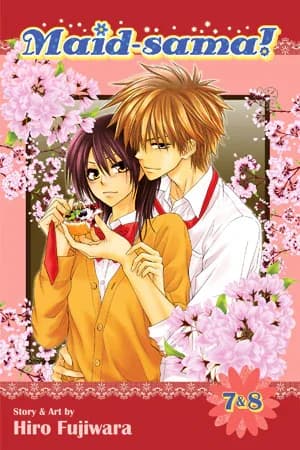 Cover of Maid-sama!