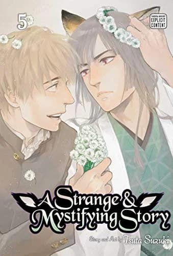 Cover of A Strange and Mystifying Story, Vol. 5
