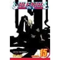 Cover of Bleach, Vol. 15 Volume 15