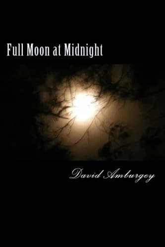 Cover of Full Moon at Midnight