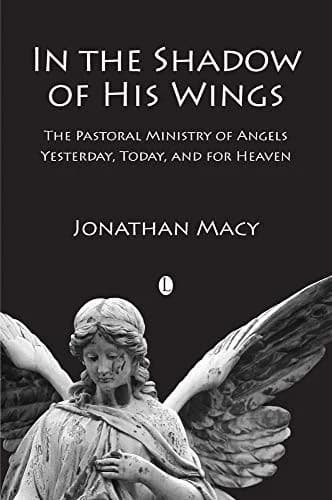 Cover of In the Shadow of his Wings