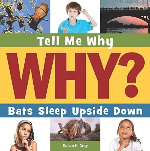 Cover of Bats Sleep Upside Down