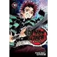 Cover of Demon Slayer: Kimetsu no Yaiba, Vol. 10 Volume 10