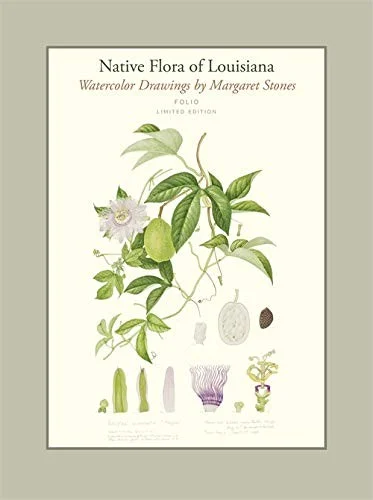 Cover of Native Flora of Louisiana