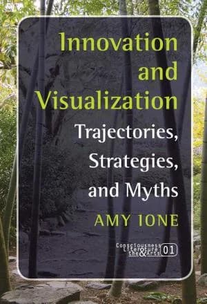 Cover of Innovation and Visualization