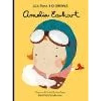 Cover of Amelia Earhart Volume 3
