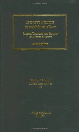 Cover of Identity Politics in the Middle East