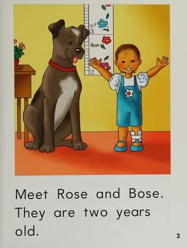 Cover of Rose and Bose