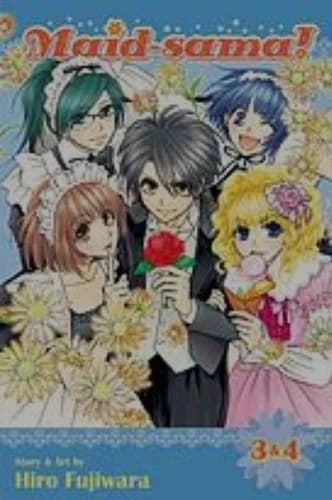 Cover of Maid sama!