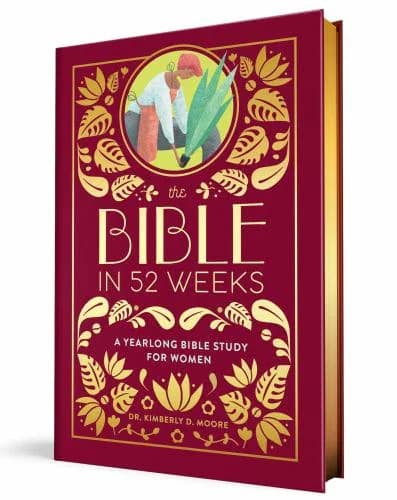 Cover of The Bible in 52 Weeks (Deluxe Edition)