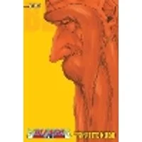 Cover of Bleach (3-in-1 Edition), Vol. 20 Volume 20