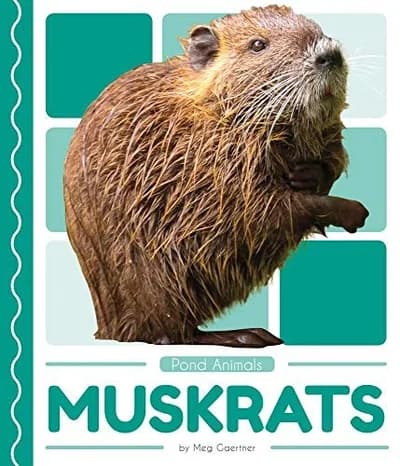 Cover of Muskrats (Pond Animals)