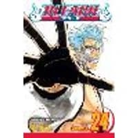 Cover of Bleach, Vol. 24 Volume 24