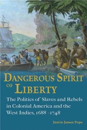 Cover of Dangerous Spirit of Liberty