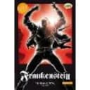 Frankenstein The Graphic Novel