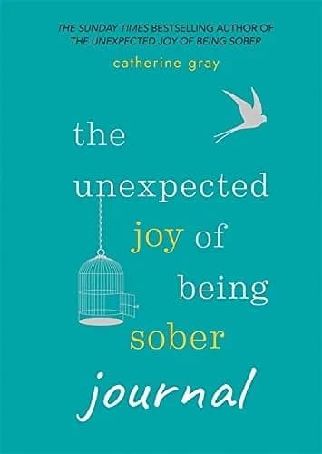 Cover of The Unexpected Joy of Being Sober Journal Catherine Gray Mindful Recovery Book Guide For Readers