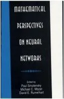 Mathematical Perspectives on Neural Networks