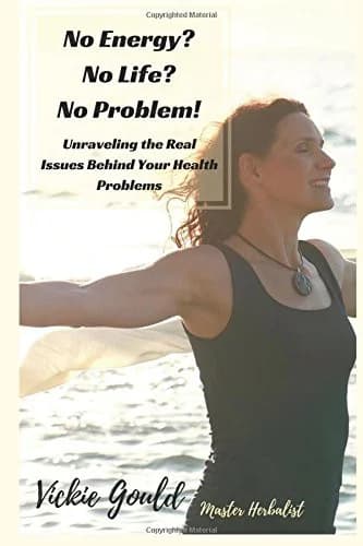 Cover of No Energy? No Life? No Problem!