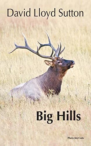 Cover of Big Hills