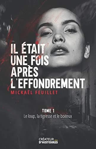 Cover of Il était une fois après l'effondrement