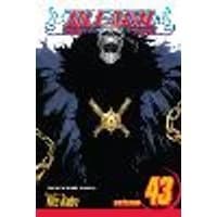 Cover of Bleach, Vol. 43 Volume 43