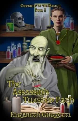 Cover of The Assassin's Twisted Path