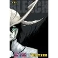 Cover of Bleach (3-in-1 Edition), Vol. 14 Volume 14