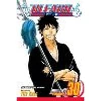 Cover of Bleach, Vol. 30 Volume 30